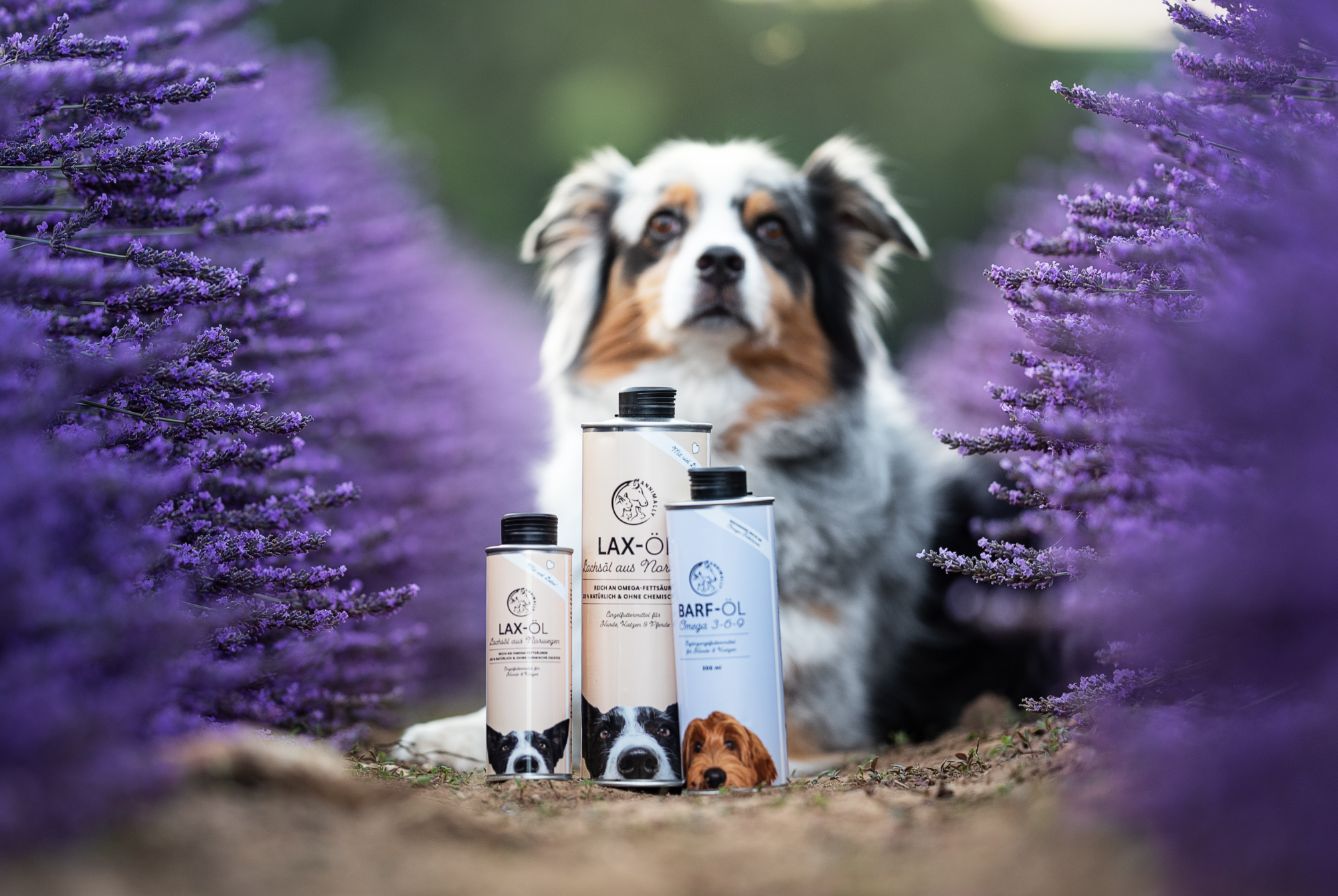 Barf-Zusätze für Hunde