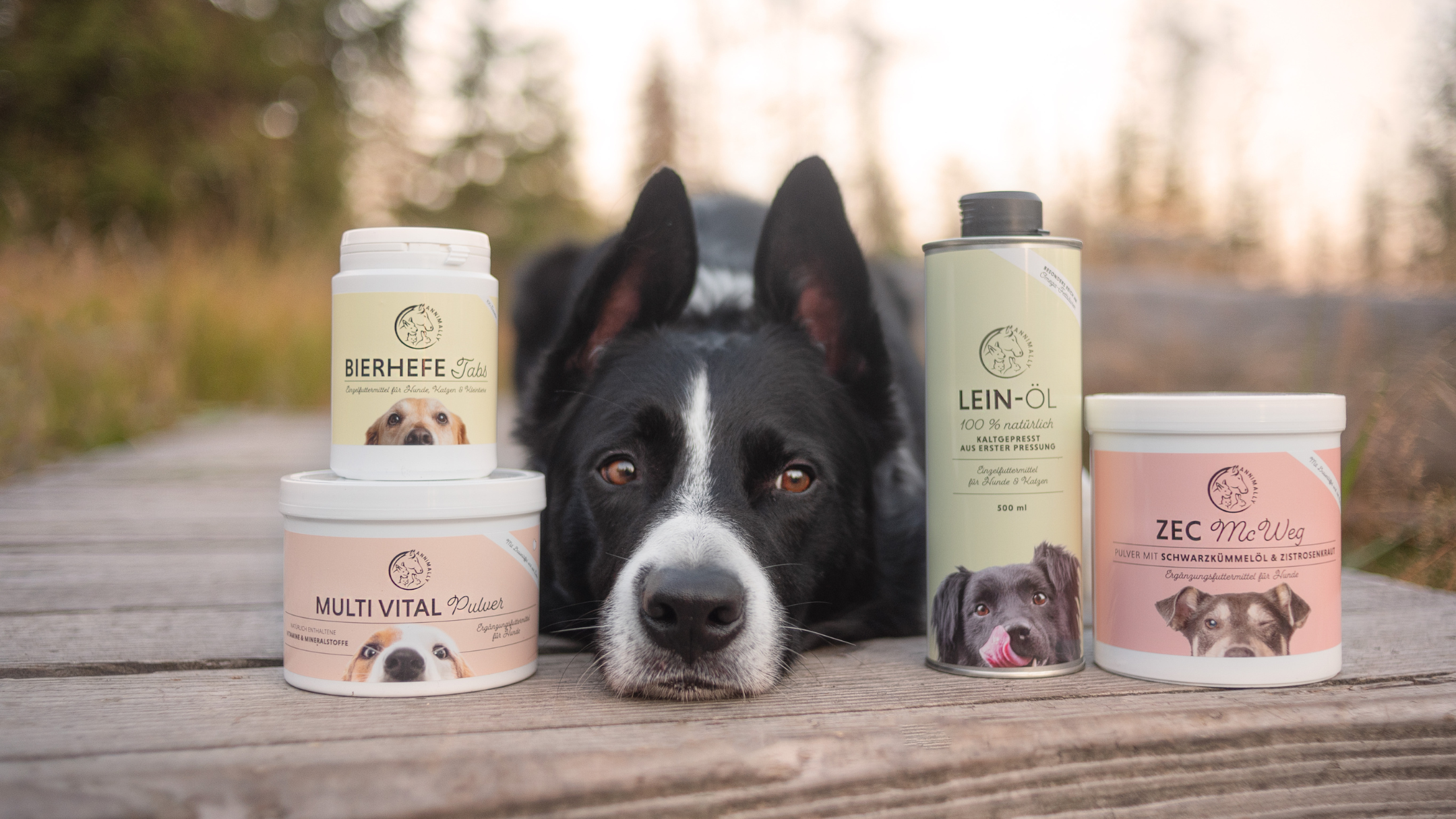 Vitamine & Mineralien für Hunde