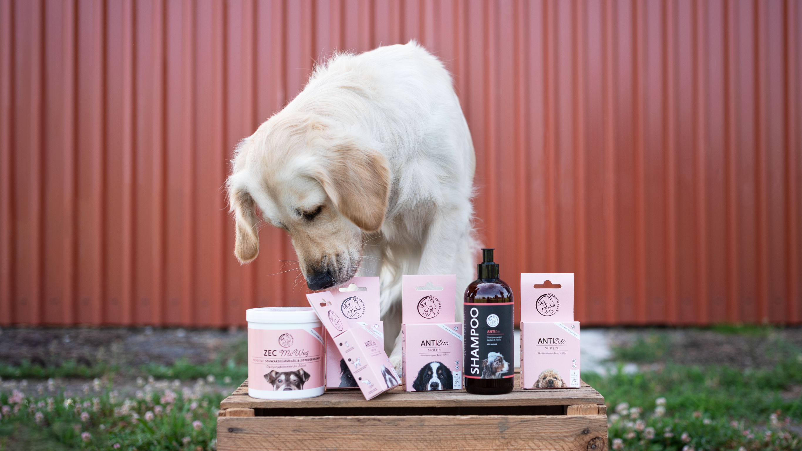 Floh-, Zecken- & Milbenschutz für Hunde