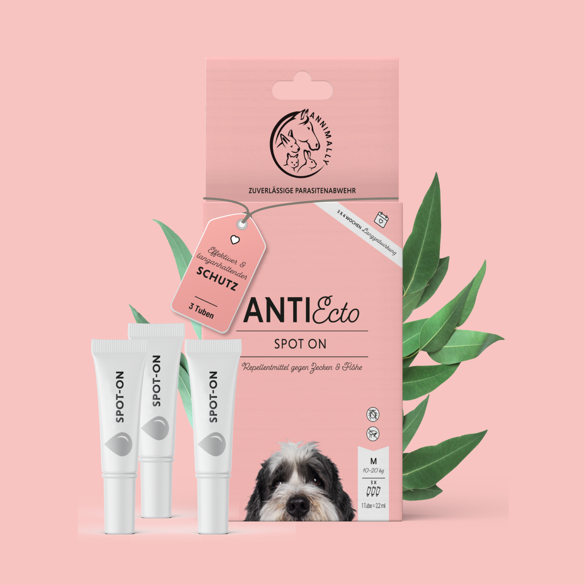 Anti Ecto Spot On