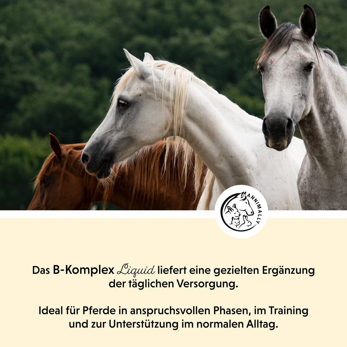 B-Komplex Liquid mit B-Vitaminen – Futterzusatz für Haustiere