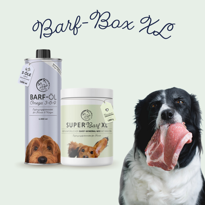 Barf-Box XL für Hunde & Katzen – Set mit Nahrungsergänzungsmitteln von Annimally