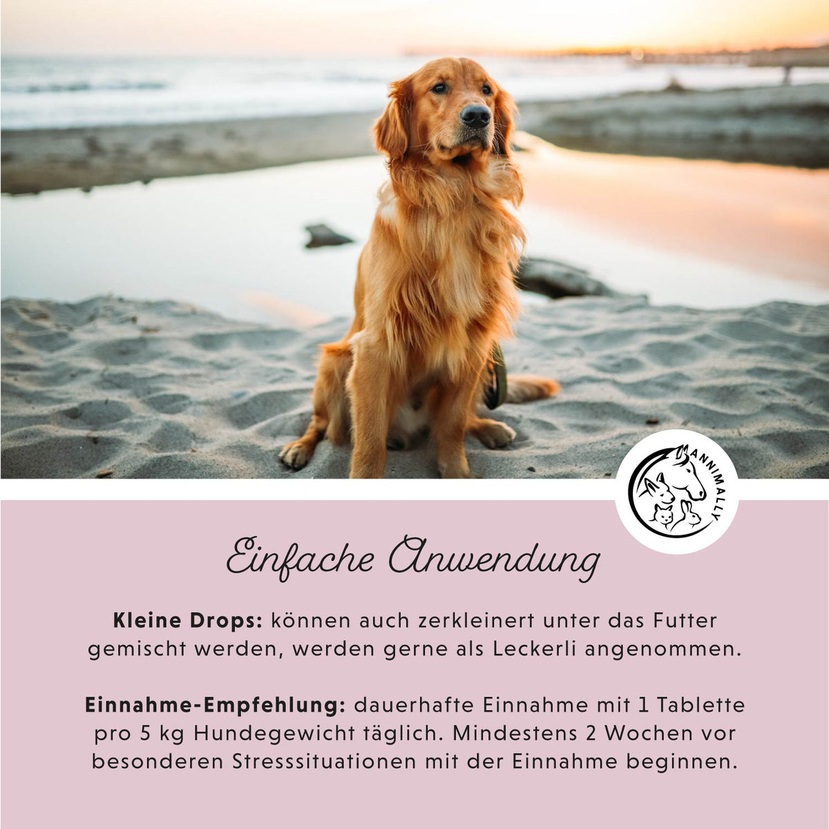 Box mit Futtertoppings für Hunde & Katzen: Bestseller-Box mit den beliebtesten Produkten
