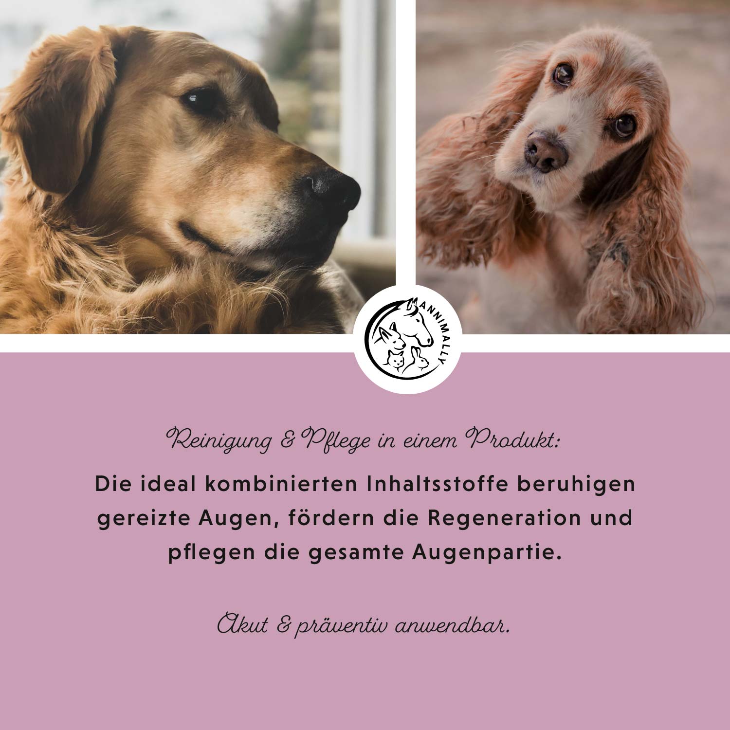 Augenpflege Plus mit Euphrasia & Rosenwasser