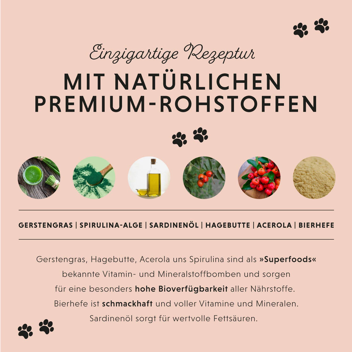 Multi Vital Pulver für Hunde – Futterergänzung für Vitalität & Immunsystem | Annimally