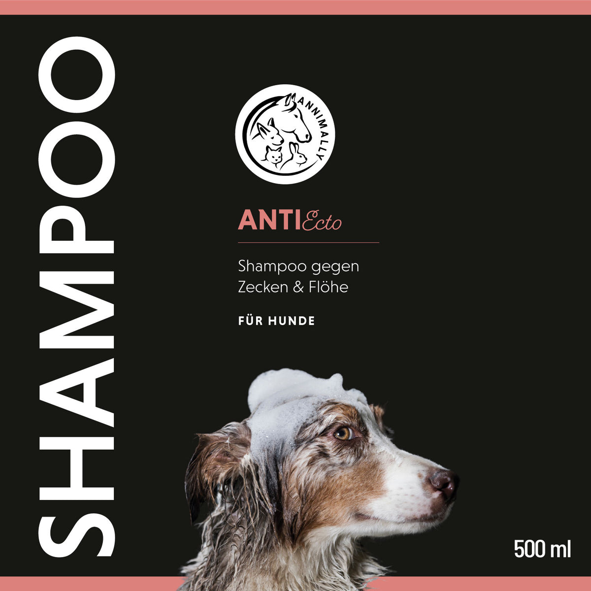 Natürliche Pflege für Hunde: Anti Ecto Zecken- & Floh-Shampoo