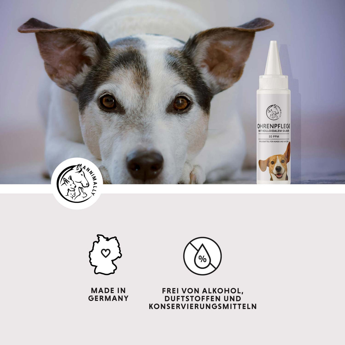 Ohrenpflege mit kolloidalem Silber 50 ppm für Hunde – natürliche Pflege | Annimally