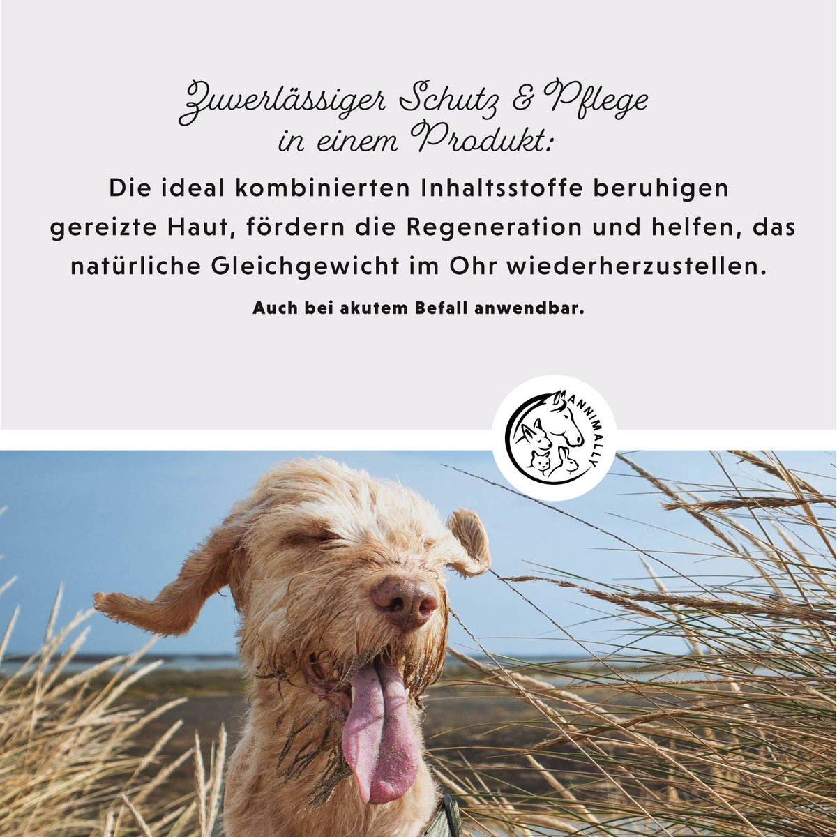 Ohrmilbenöl Akut – Pflegeprodukt für Hunde