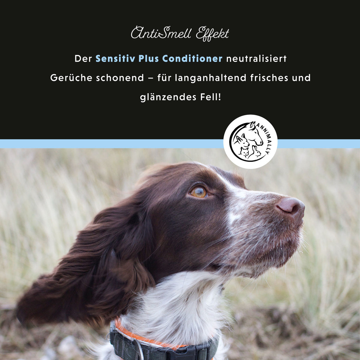 Tierpflege für Hunde: Sensitiv Plus Conditioner für empfindliche Haut