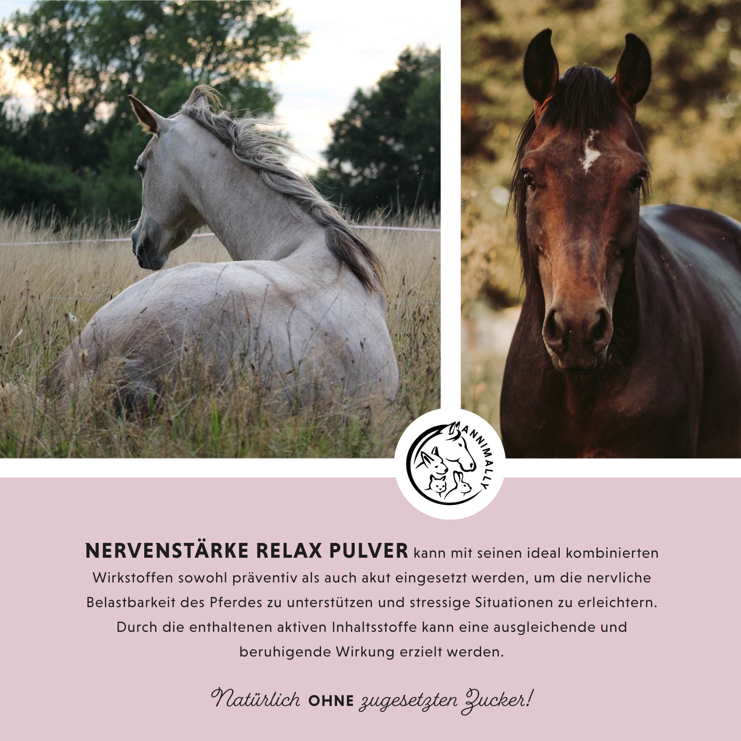 Nervenstärke - Relax Powder