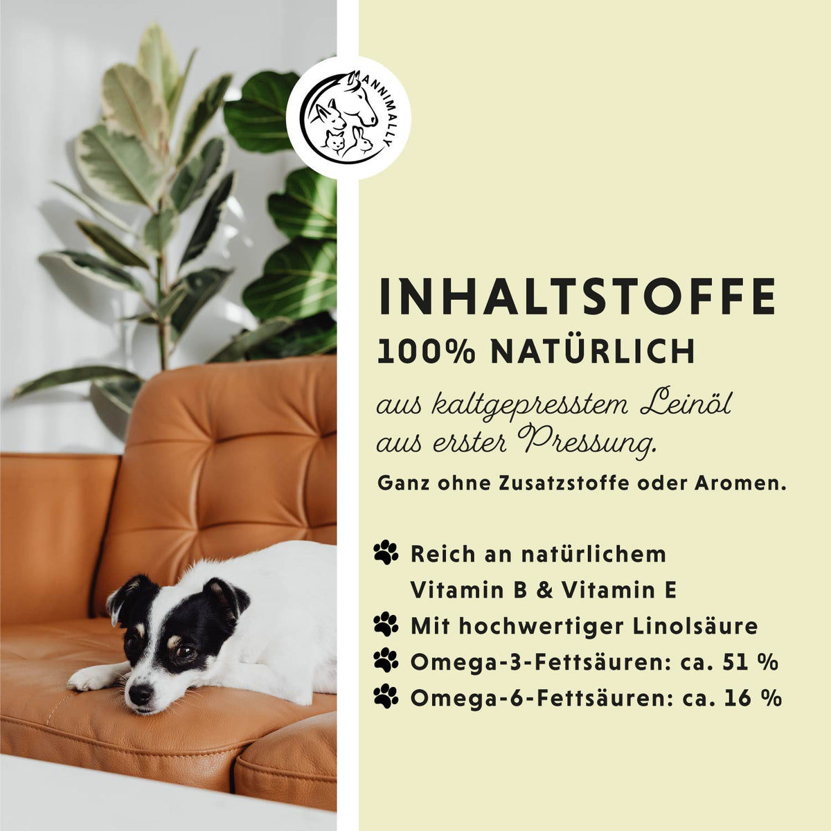 Leinöl für Hunde & Katzen – Futterergänzung kaltgepresst mit Omega-3 | Annimally