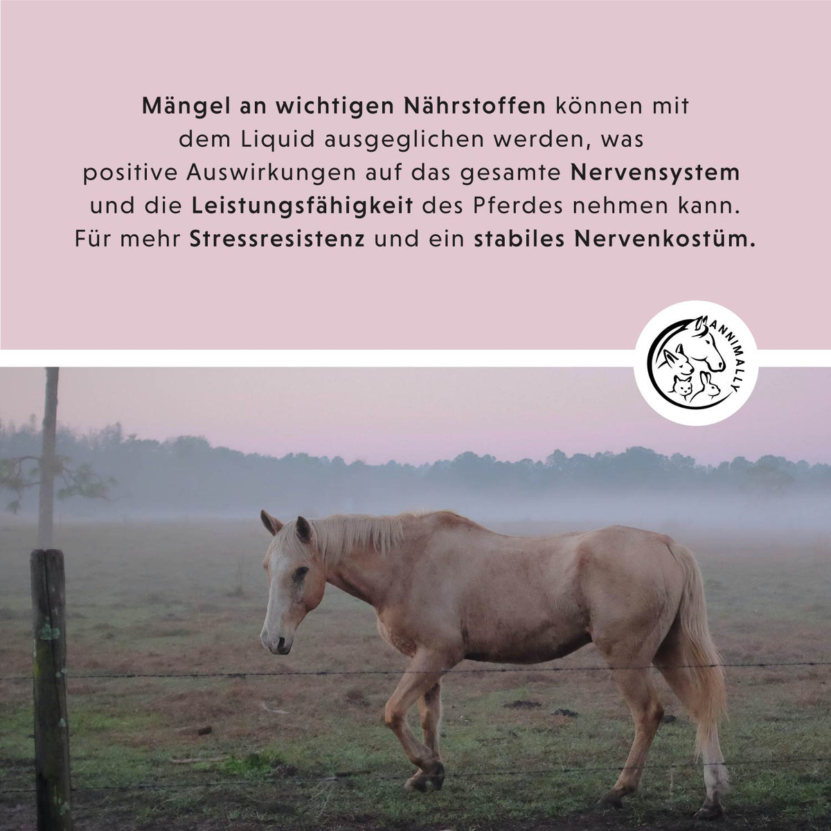 Relax Liquid für Pferde – Futterergänzung zur natürlichen Beruhigung | Annimally