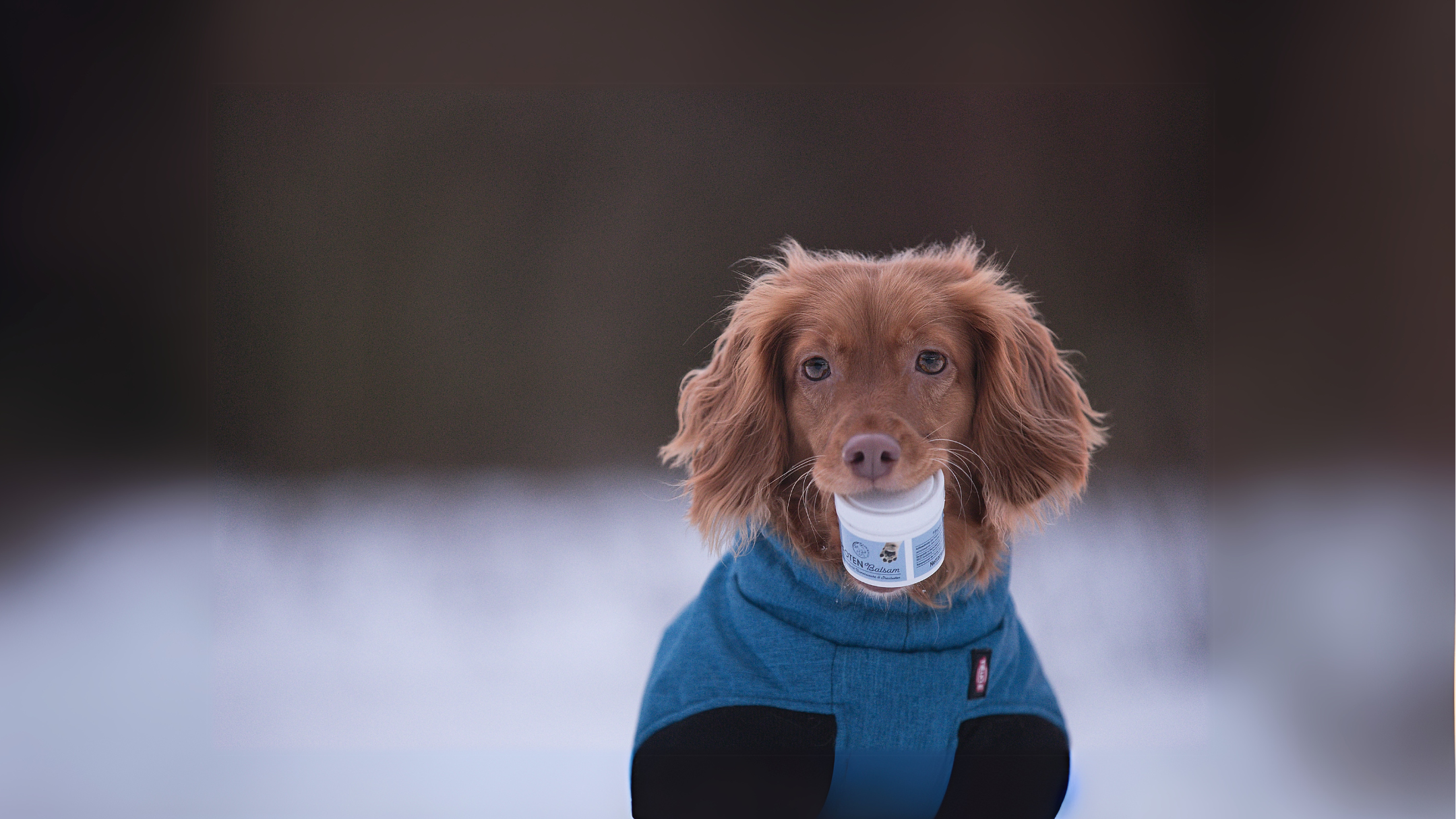 Futterzusätze & Pflegemittel für Welpen