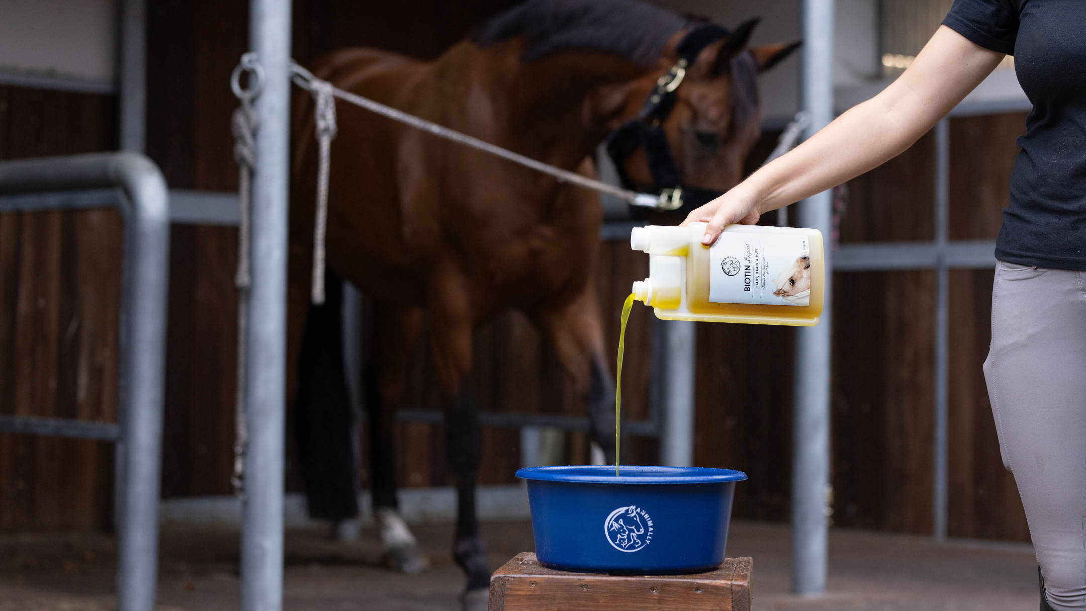 Haut-, Fell- & Hufpflege für Pferde