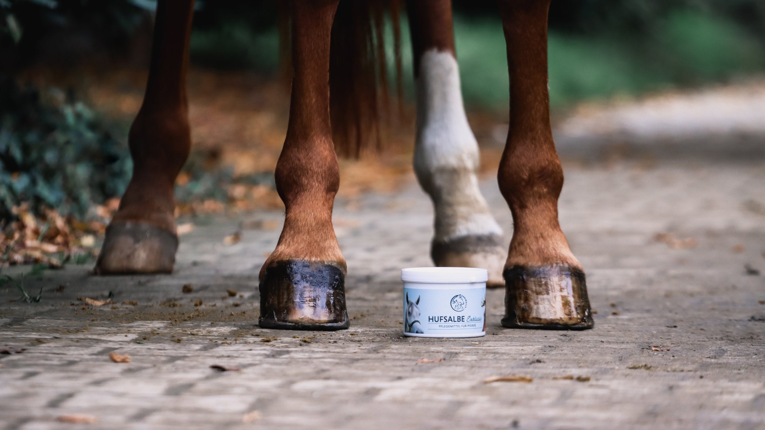 Pferdesalbe Annimally