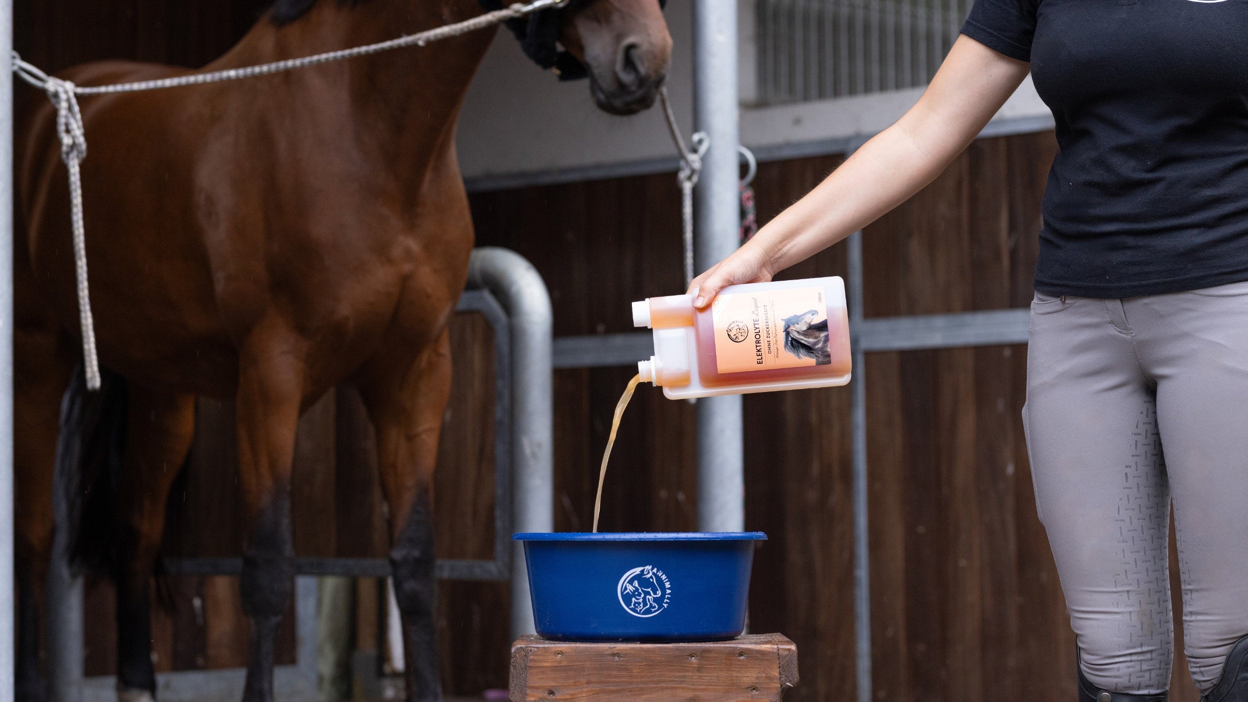 Immunkraft für Pferde