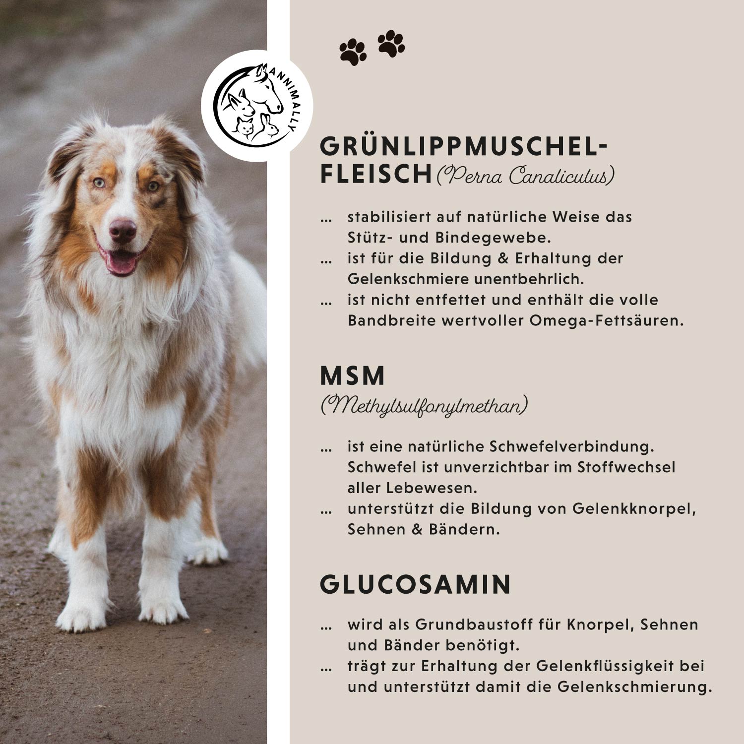 Gelenktabletten