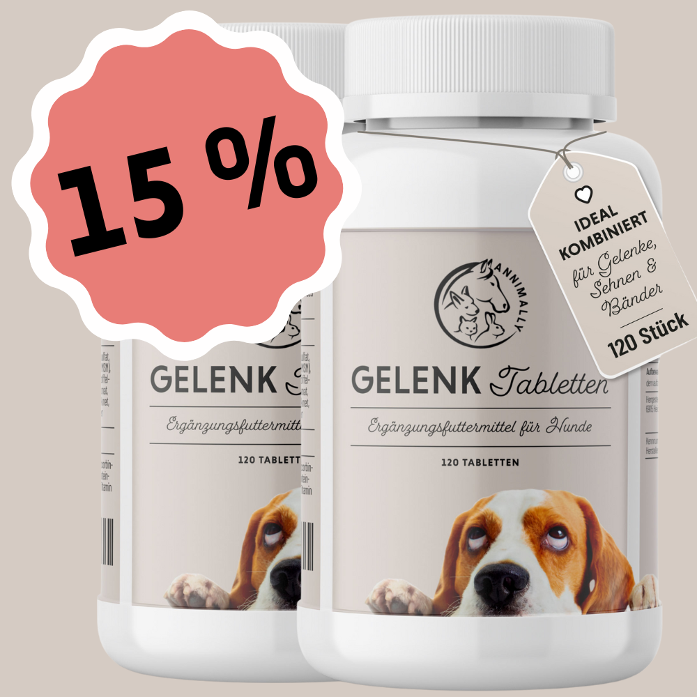 2 x Gelenktabletten
