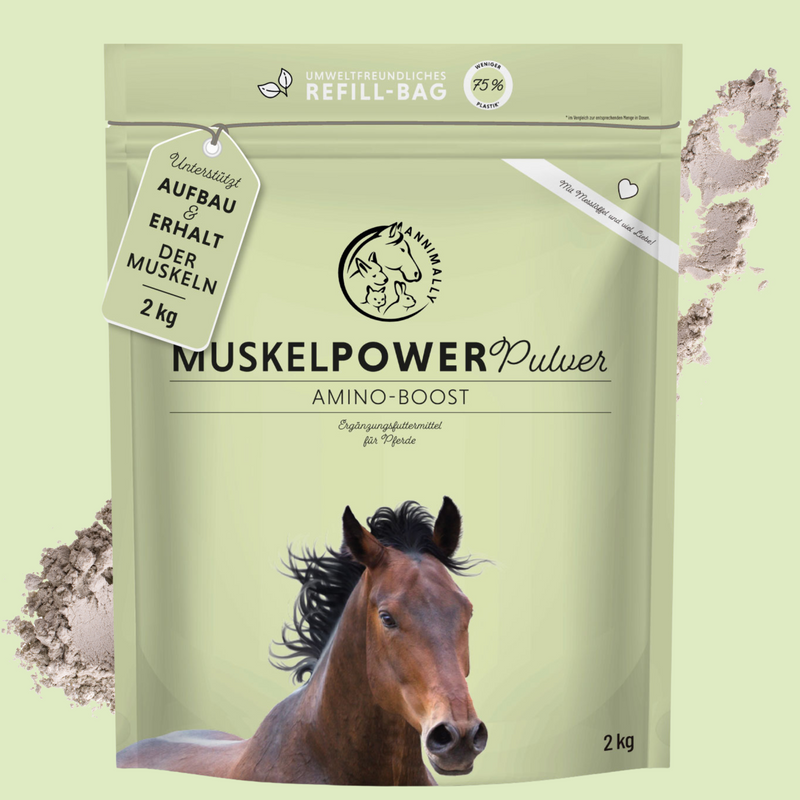 Muscle Power Powder