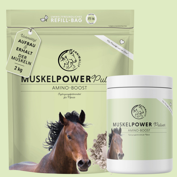 Muscle Power Powder