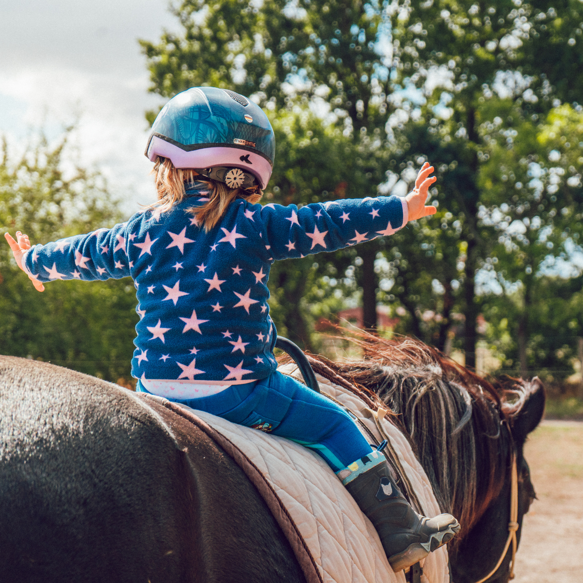 LONGEVITY FOR YOUR HORSE