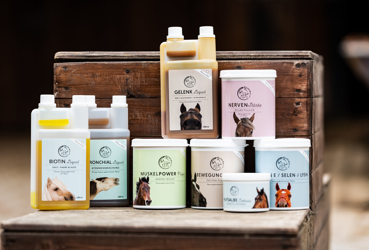 Zusatzfutter für Pferde – gezielt ergänzen, was im Heu fehlt