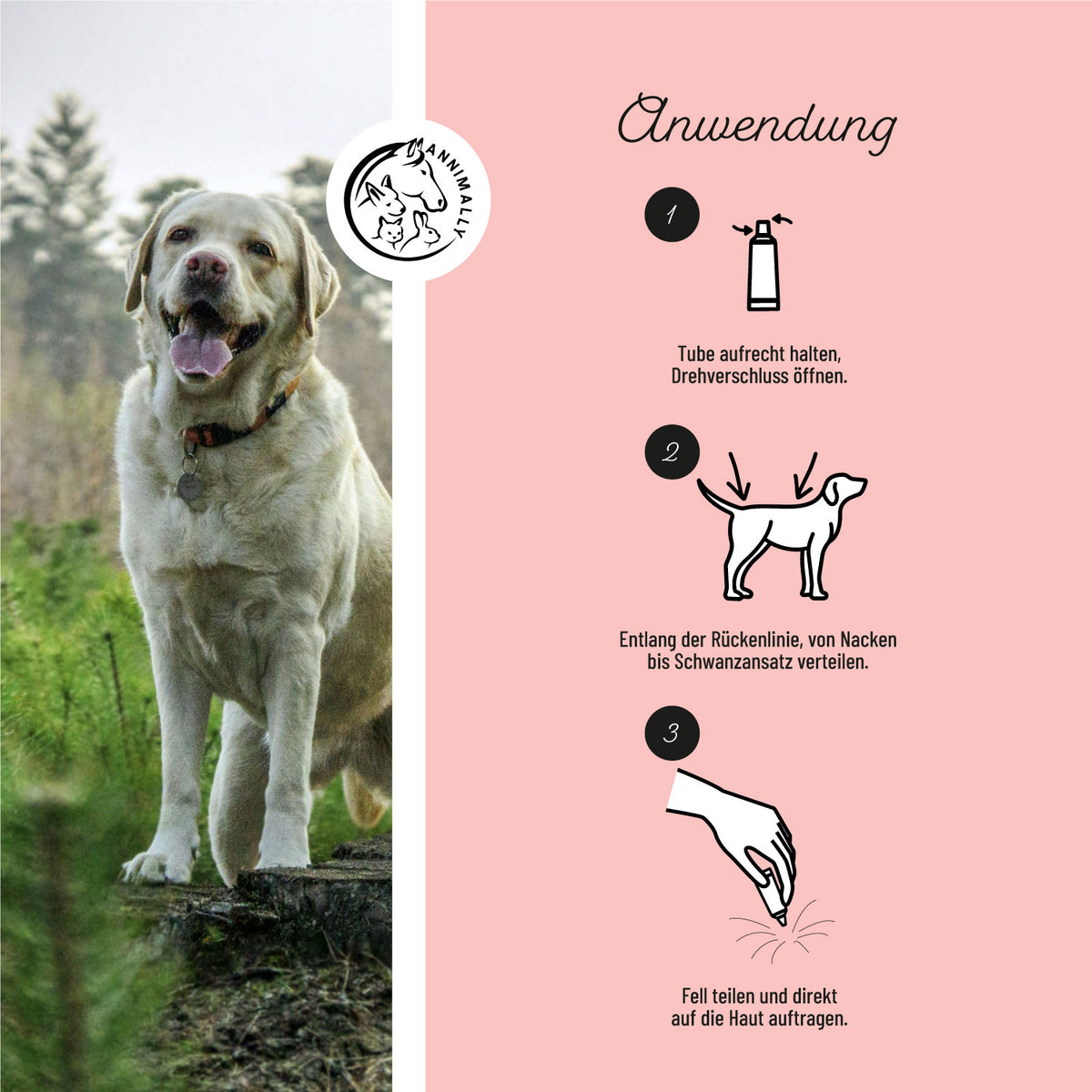 Anti Ecto Spot On gegen Zecken & Flöhe – Pflegeprodukt für Hunde