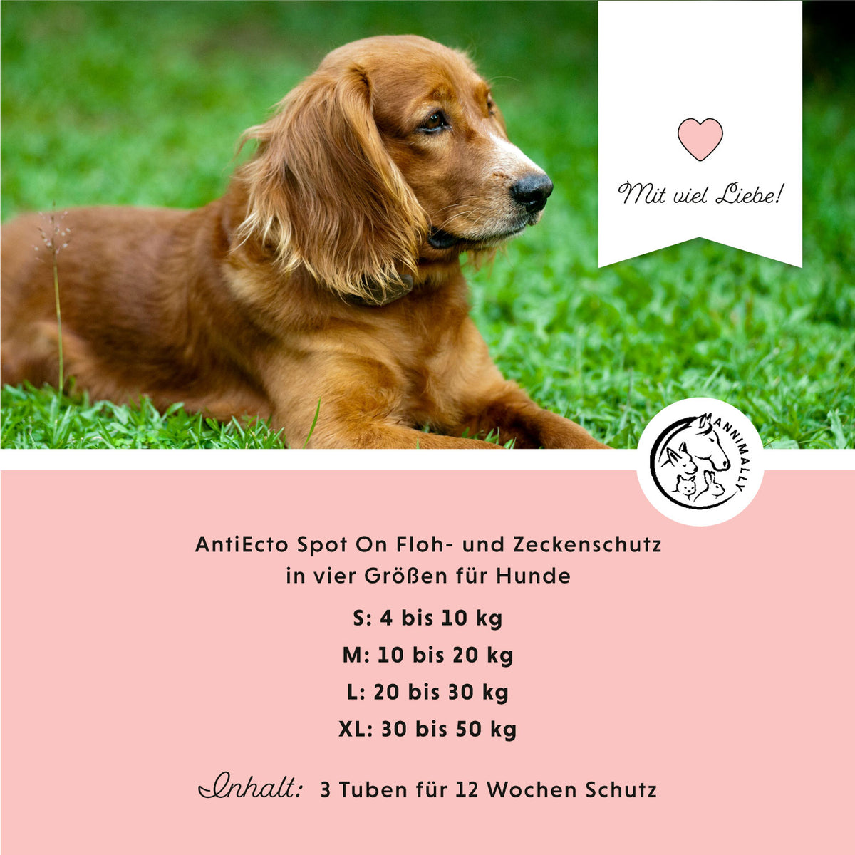 Anti Ecto Spot On für Hunde – Tierpflege gegen Zecken & Flöhe | Annimally