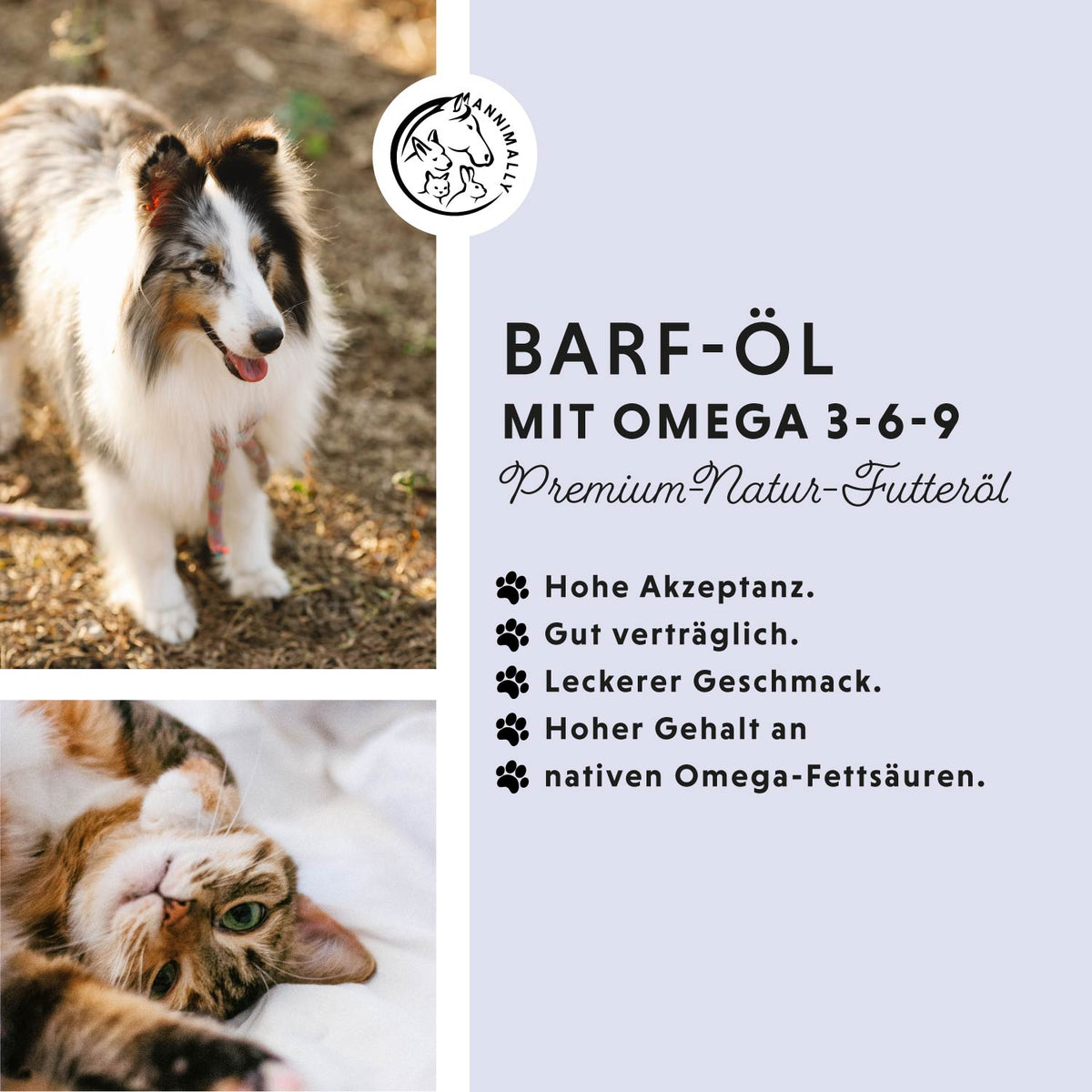 Barf-Box für Hunde & Katzen – Set mit Futterzusätzen von Annimally
