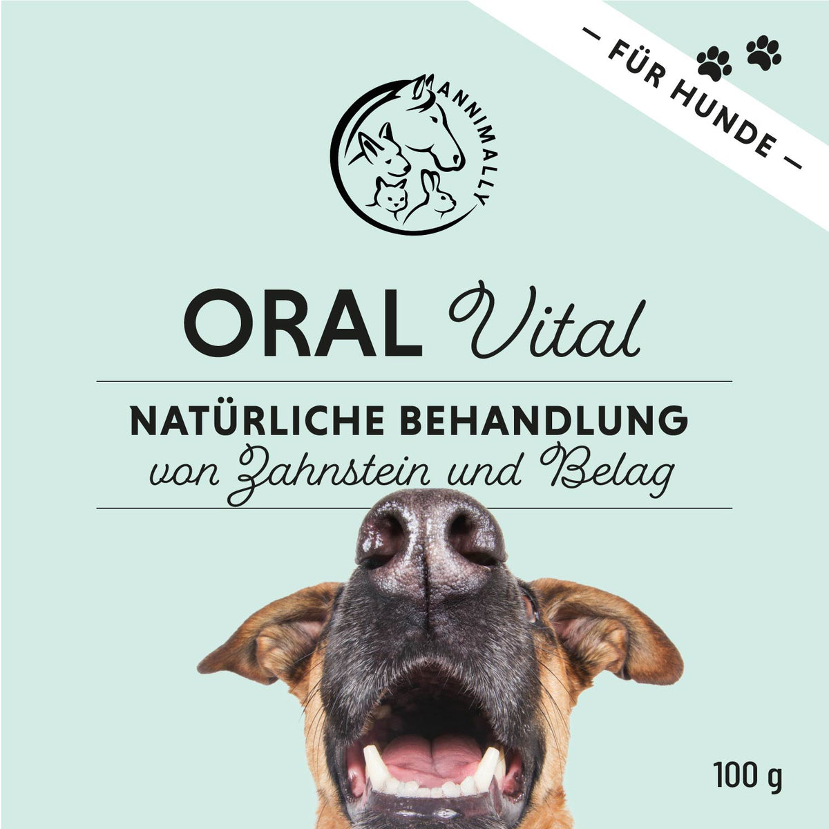 Bestseller-Box mit den beliebtesten Produkten – Set mit Nahrungsergänzungsmitteln für Hunde & Katzen