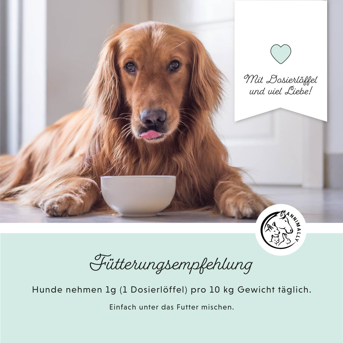 Bestseller-Box für Hunde & Katzen mit den beliebtesten Produkten – Box mit Futtertoppings von Annimally