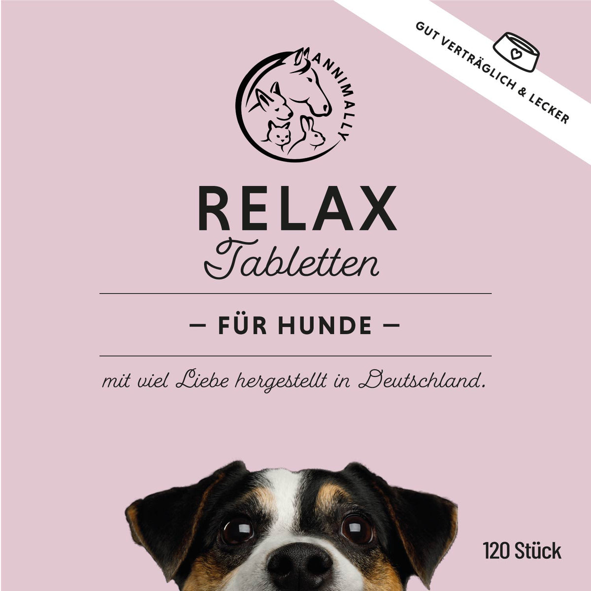Bestseller-Box von Annimally – Set mit Nahrungsergänzungsmitteln für Hunde & Katzen
