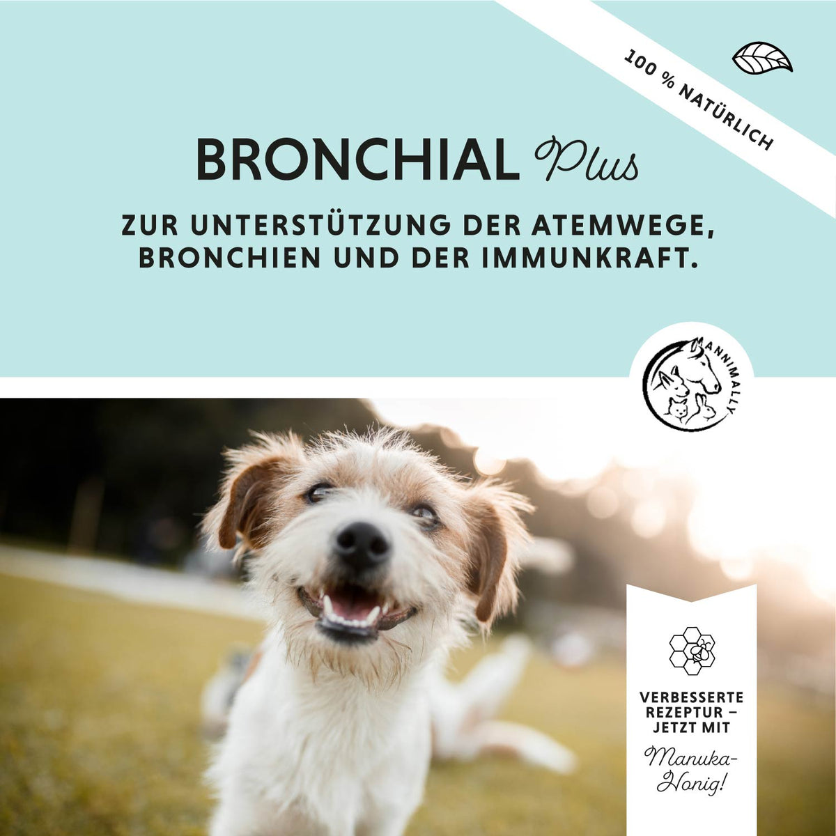 Bronchial Plus für freie Atemwege – Futterzusatz für Hunde
