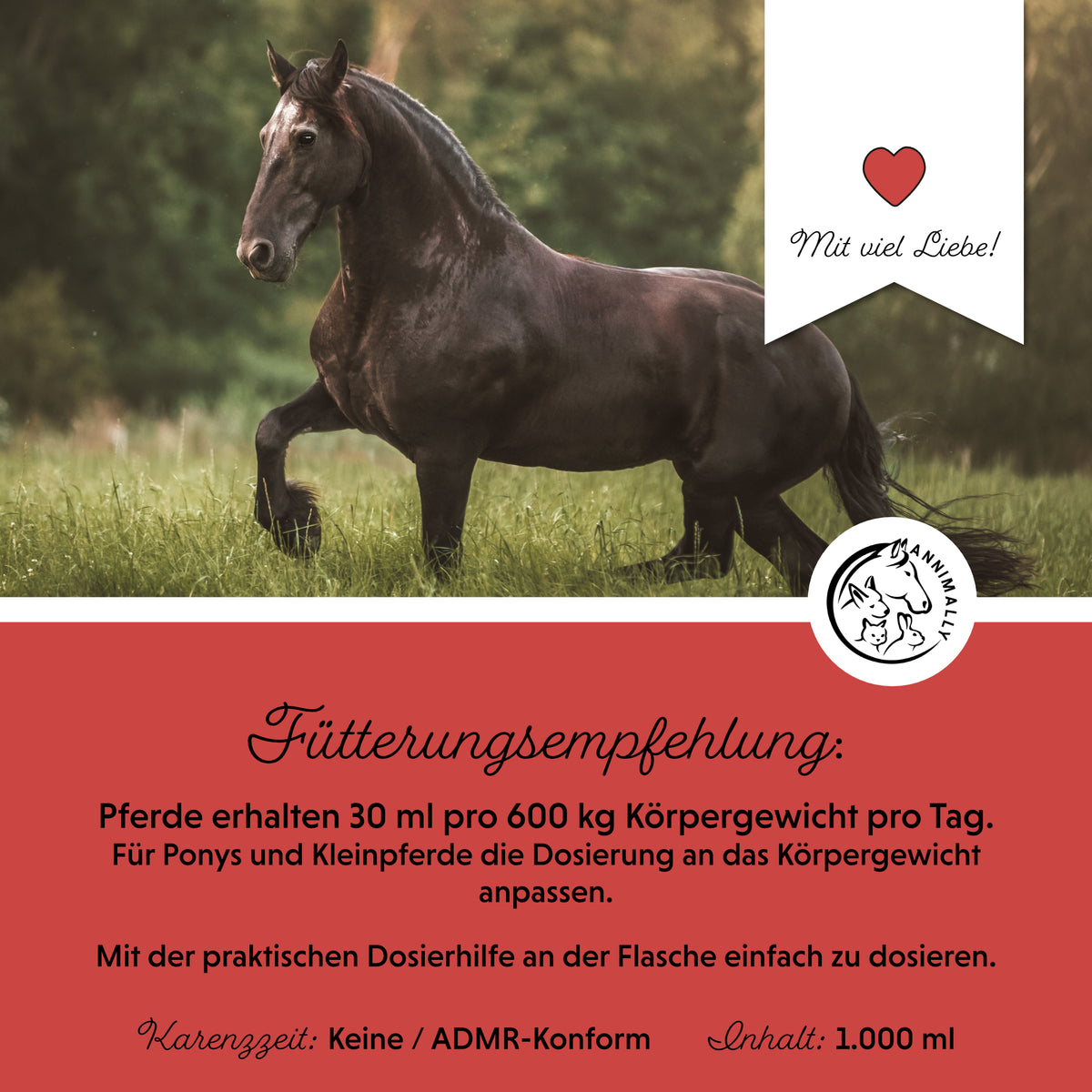 Eisen Liquid – Futtertopping für Pferde