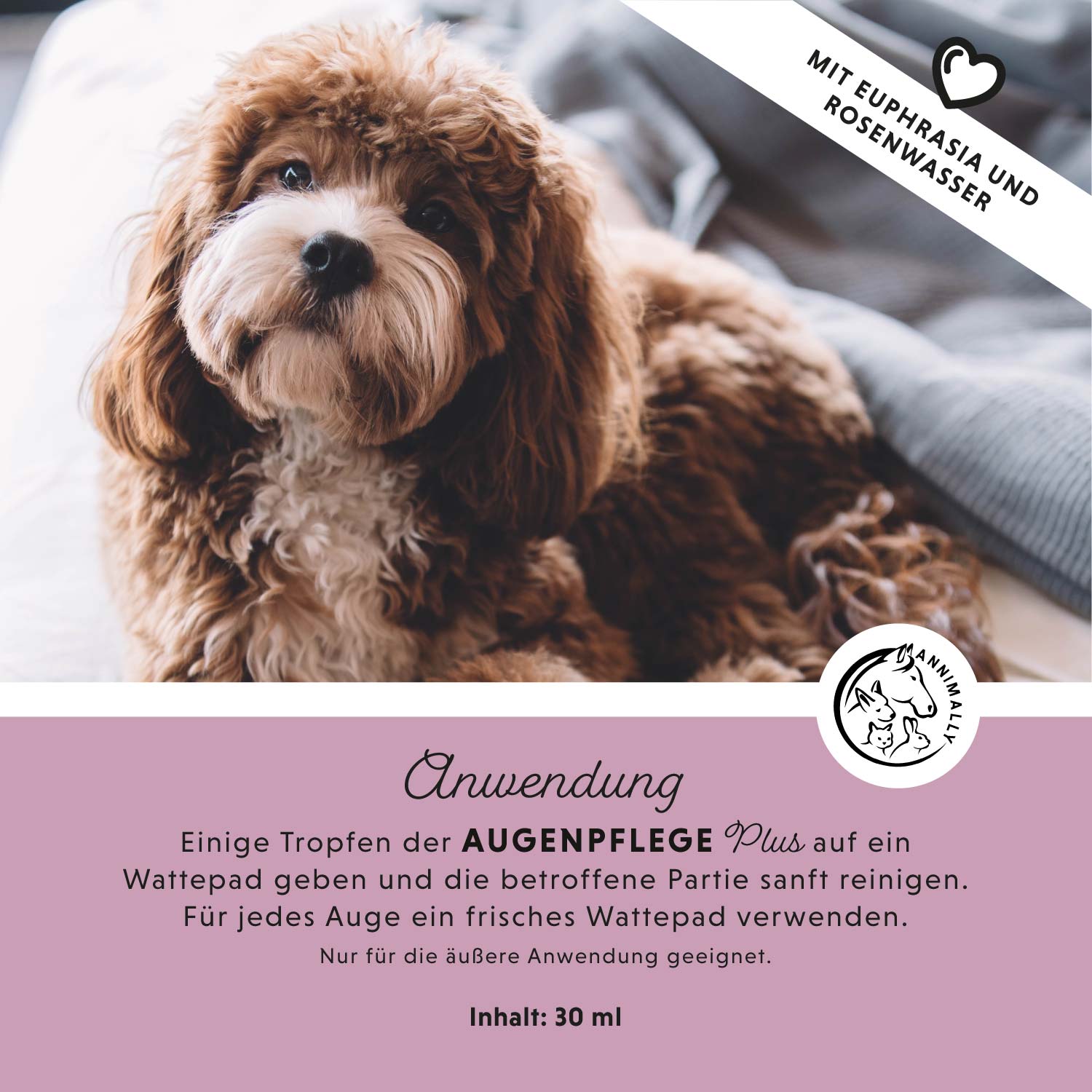 Augenpflege Plus mit Euphrasia & Rosenwasser