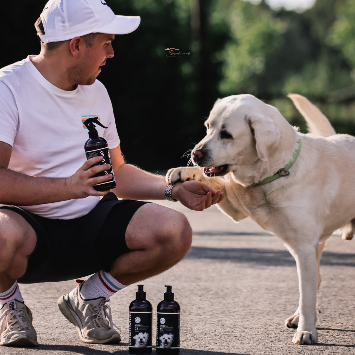 Fellpflege-Routine für weiße Hunde – Shampoo & Conditioner von Annimally
