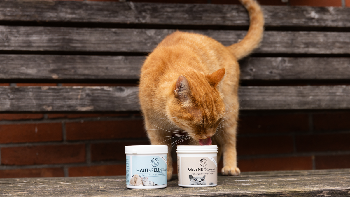 Futterzusätze & Pflegemittel für Katzen – Katze mit Annimally Futtertopping