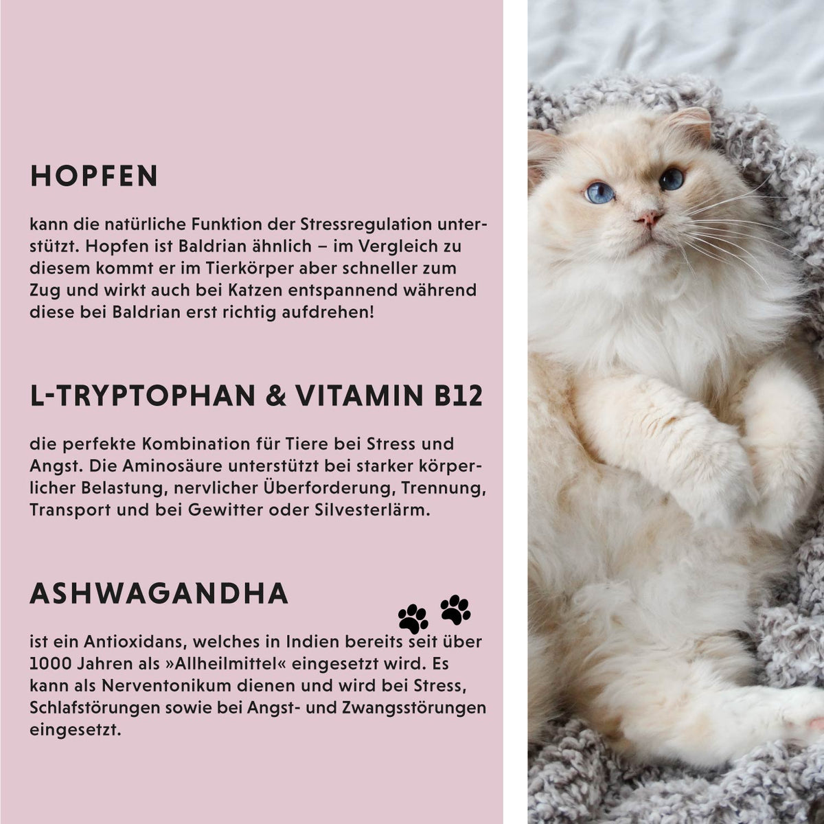 Futterzusatz für Hunde & Katzen: Relax Flüssig zur natürlichen Beruhigung