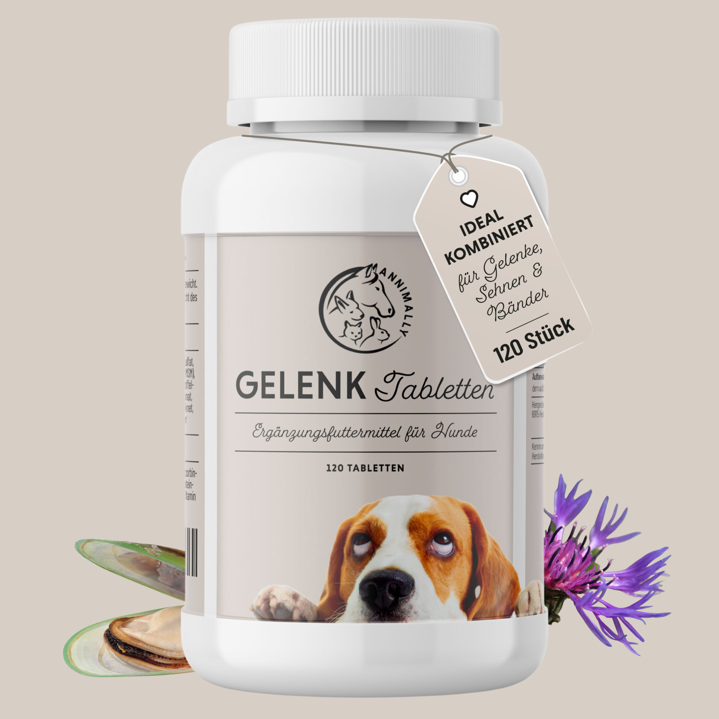 1 x Gelenktabletten