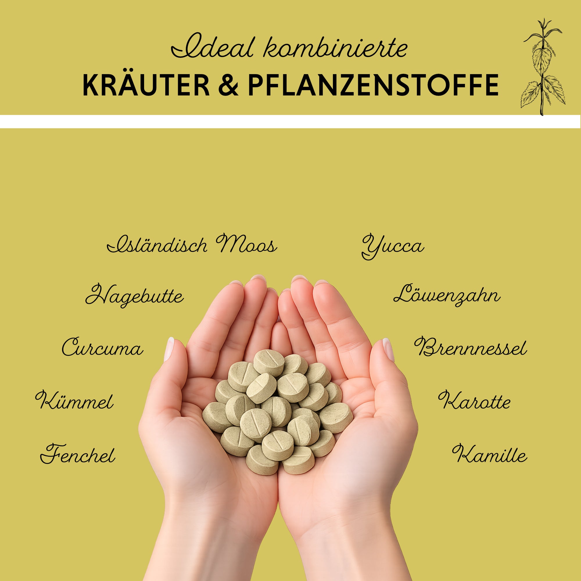 Gras- & Kotfresser Tabletten