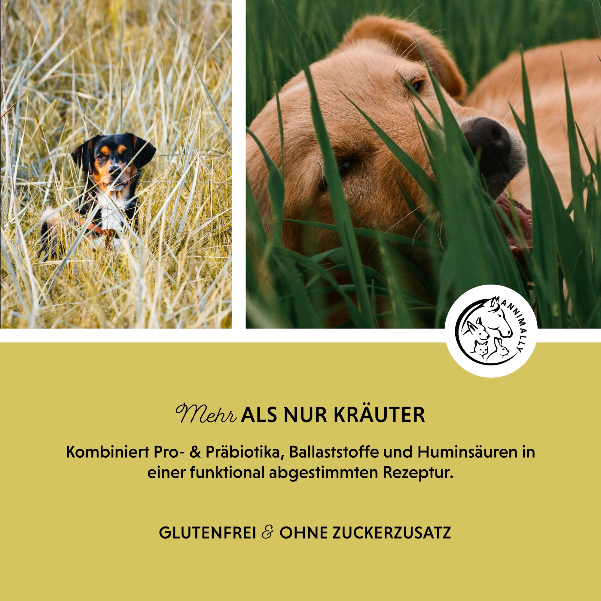 Gras- & Kotfresser Tabletten