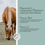 magnesium pellets