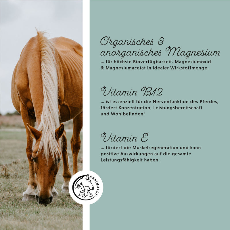 magnesium pellets