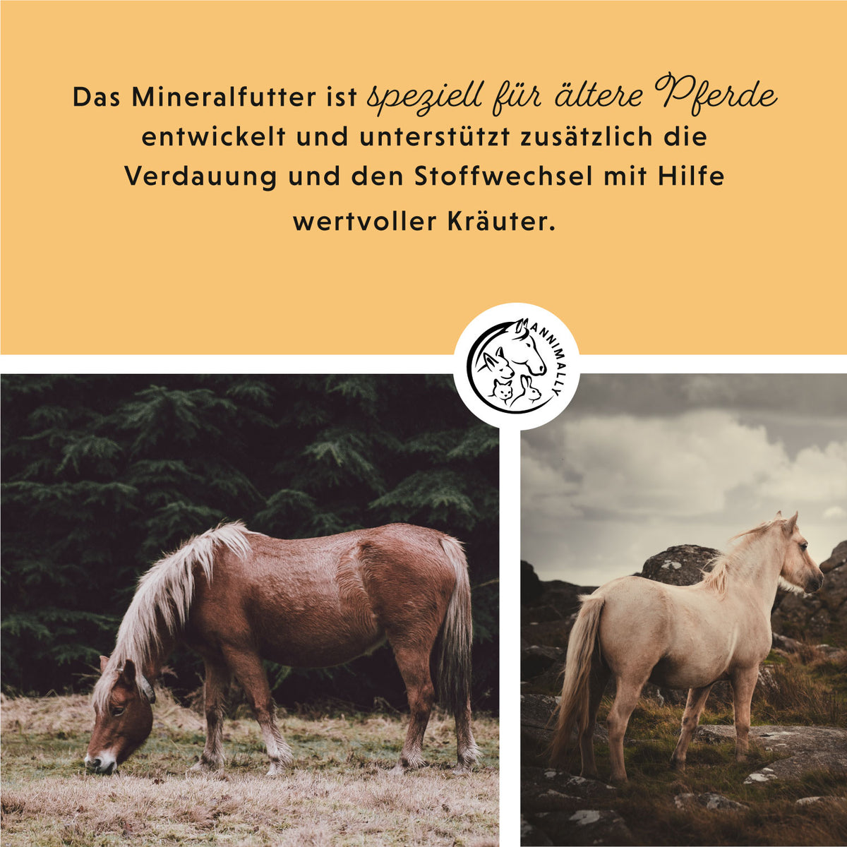 Mineralfutter Senior Vital von Annimally für ältere Pferde – Futtertopping für Pferde