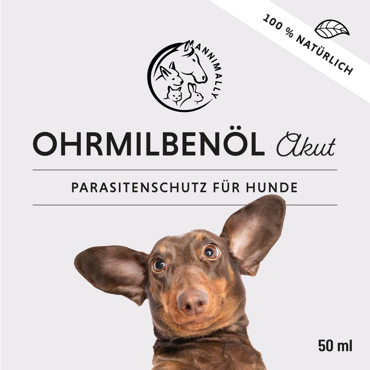 Natürliche Pflege für Hunde: Ohrmilbenöl Akut