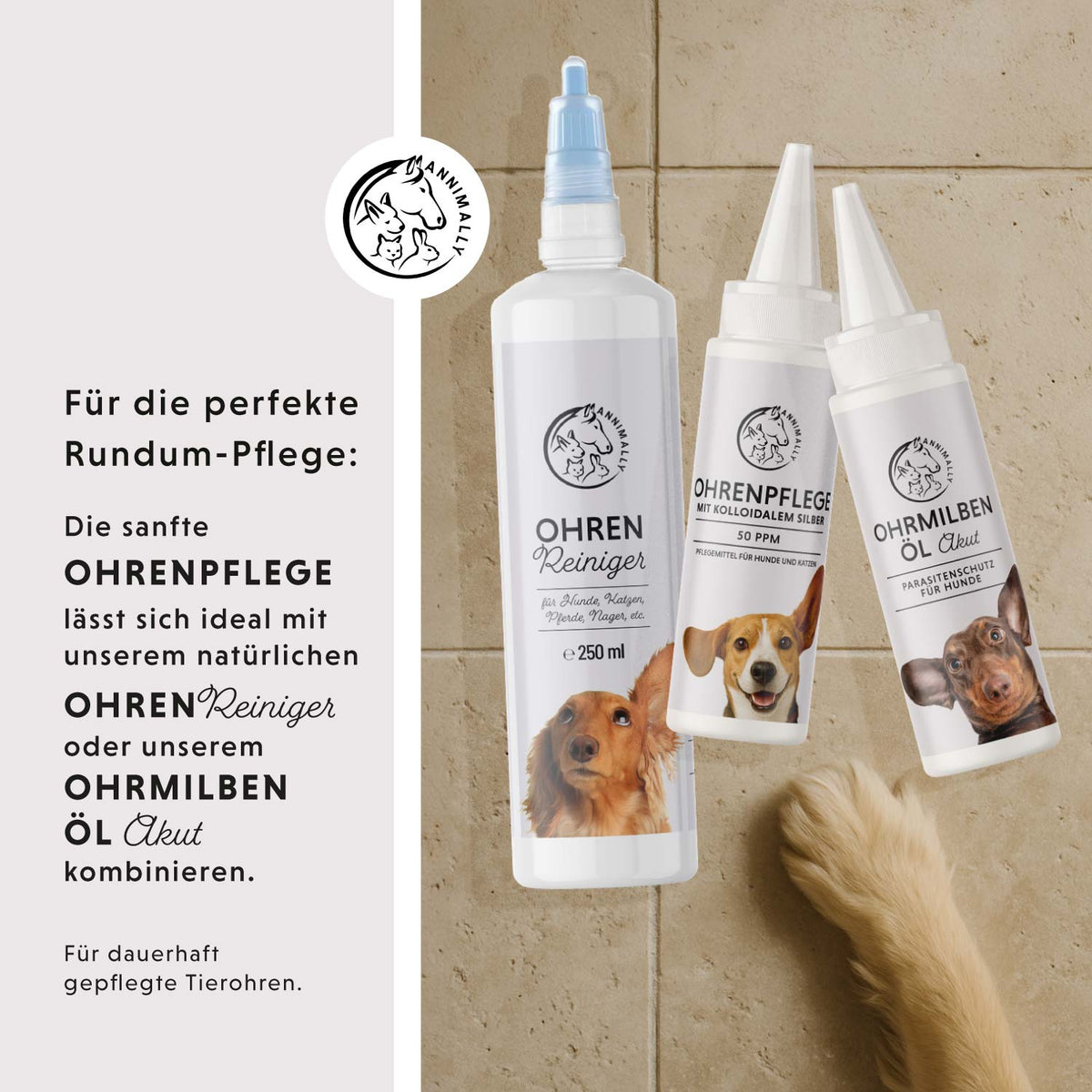 Ohrenpflege mit kolloidalem Silber 50 ppm für Hunde – Tierpflege | Annimally