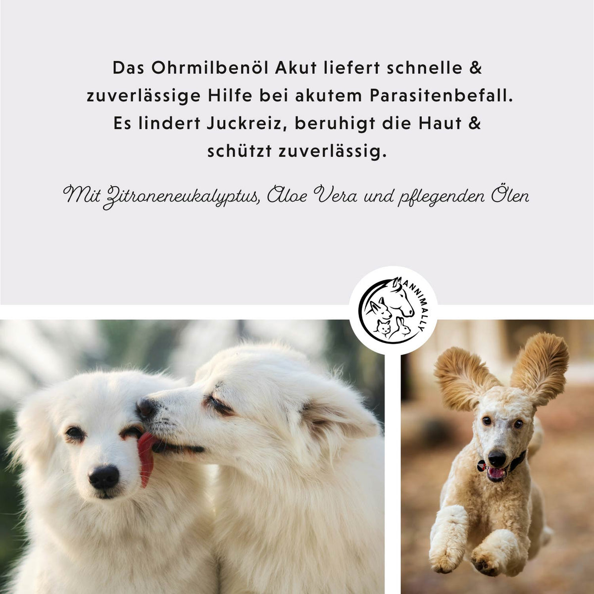Ohrmilbenöl Akut – Tierpflege für Hunde