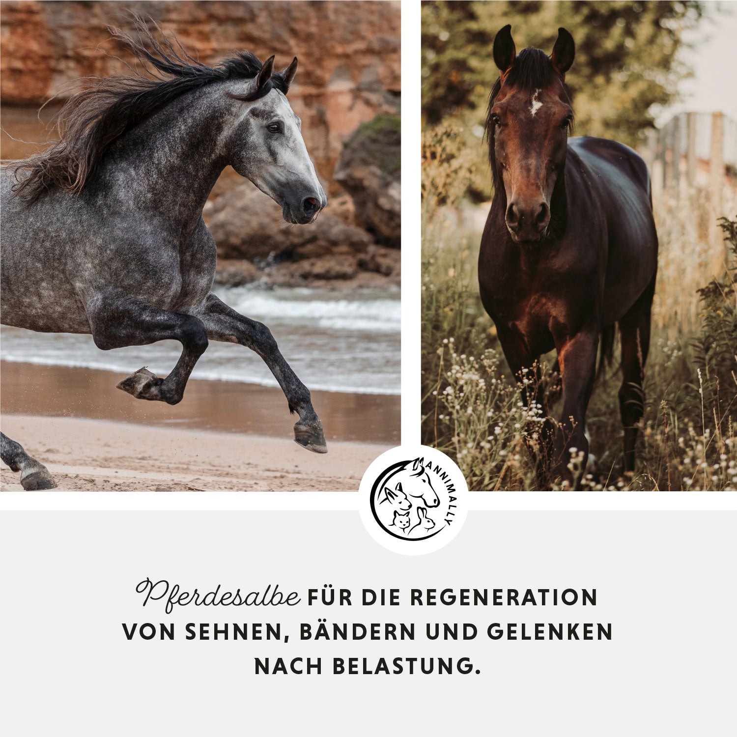 Horse ointment