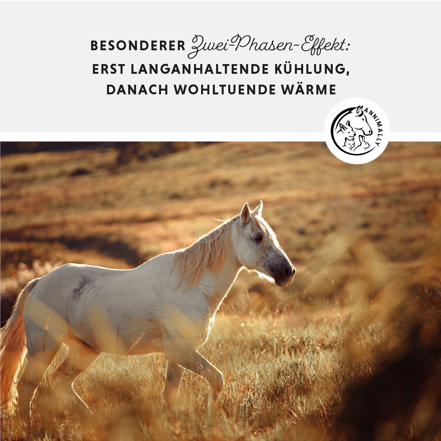 Horse ointment