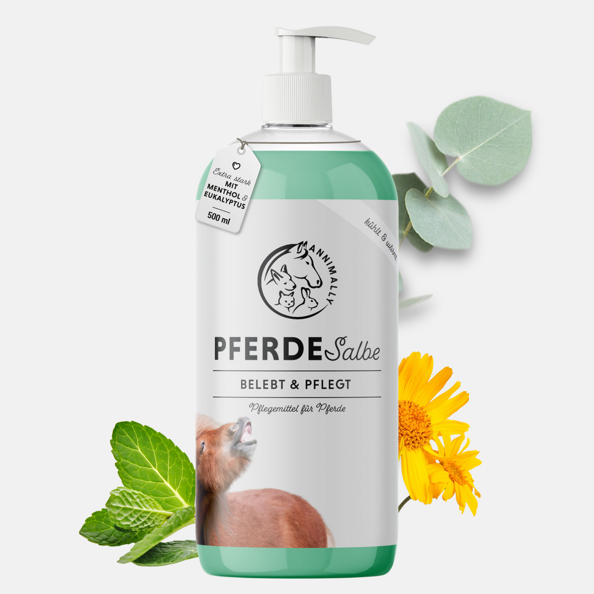 Pferdesalbe – Pflegeprodukt für Muskeln, Sehnen & Gelenke | Annimally